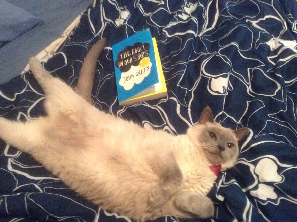 I read The Fault in Our Stars next to my cat, Carmelita.