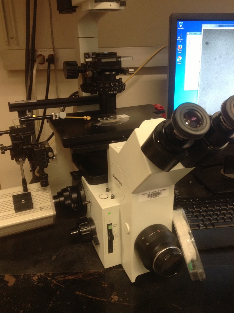 This is the microscope I use to inject DNA into nematode worms.