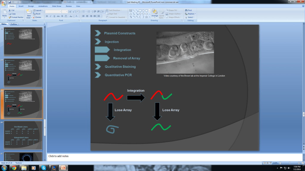 Here's a picture of one of my PowerPoint slides from today's lab presentation.