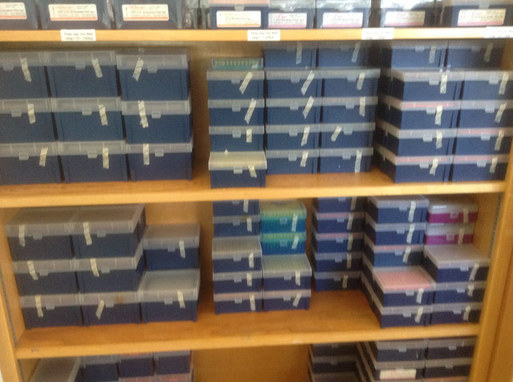 Two shelves I filled up with pipette tips.