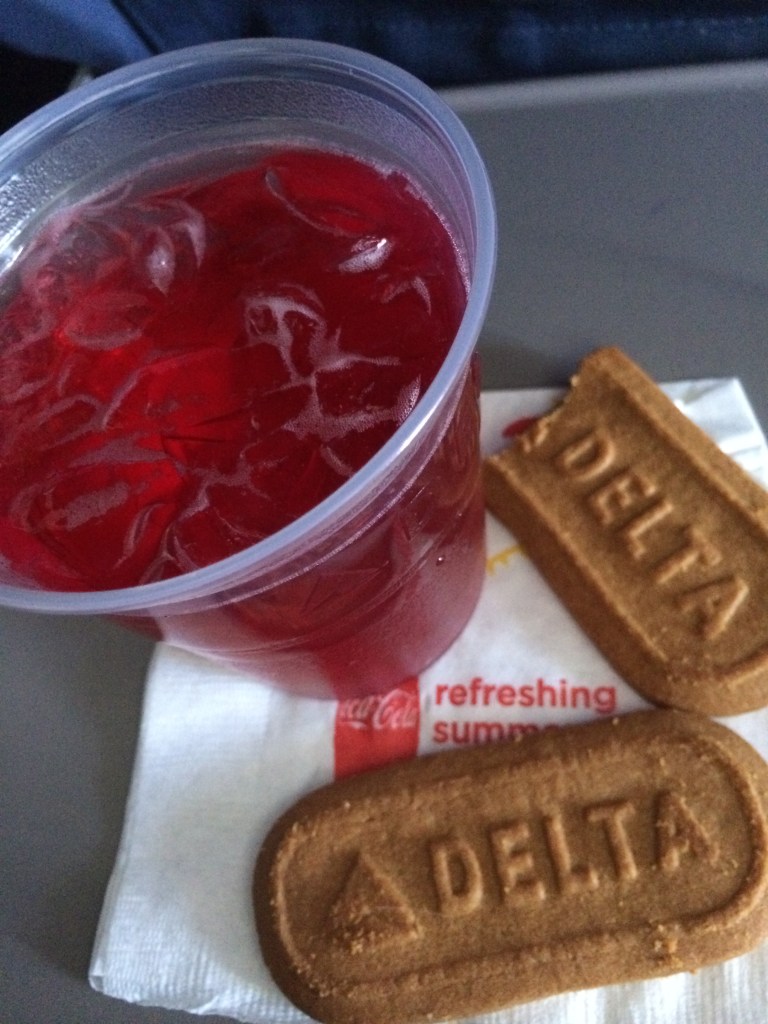 The only picture of food from my vacation was taken on the airplane. This is WordPress, people! Not Instagram!