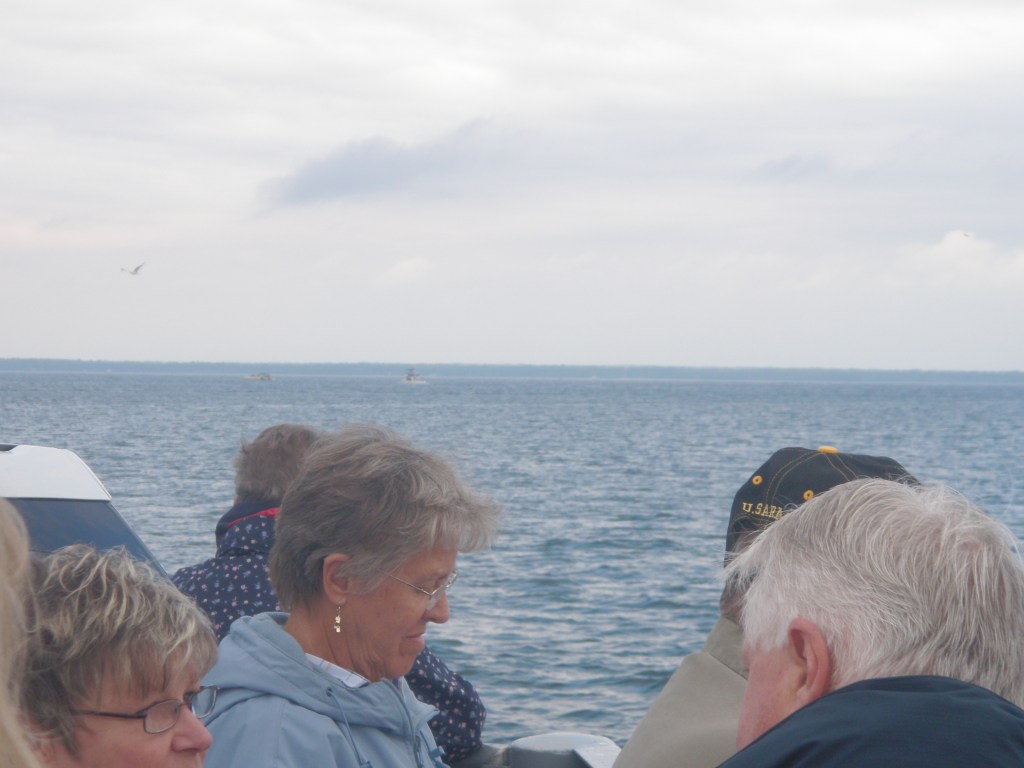 The ferry was pretty busy because people were coming for a tour of all the neat cottages on the Island.