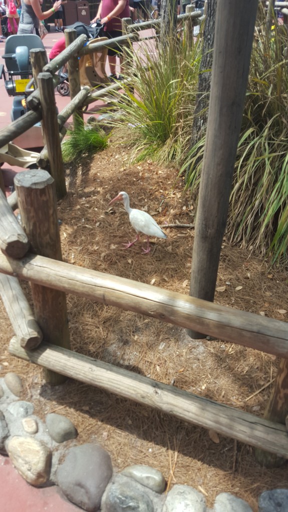 I'm all out of good captions.