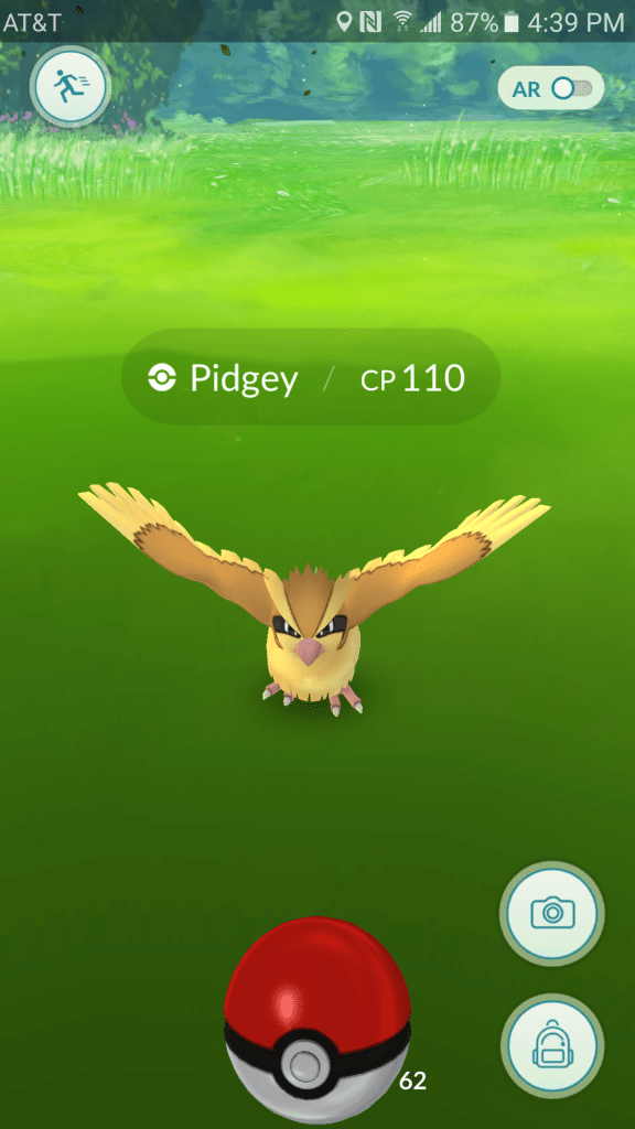 What a fearsome pidgeon...