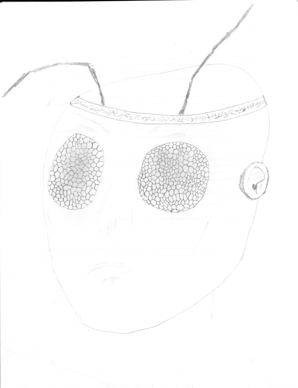 Xorian Wars 51/Alliance&nbsp;40